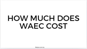 How Much Does Waec Cost