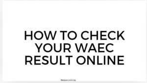 How To Check Your Waec Result Online A Comprehensive Guide
