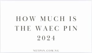 How Much Is The Waec Pin 2024